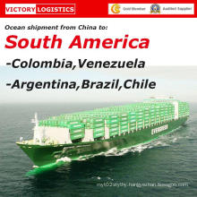 Logistics Transportation Sea Shipping From China to South America